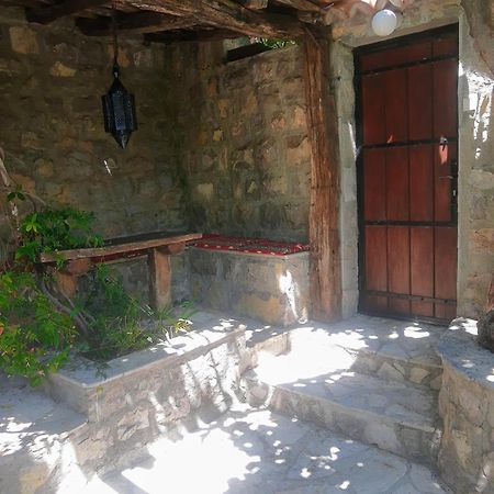 Sea-Side Old Stone Villa With A Private Garden Budva Zewnętrze zdjęcie
