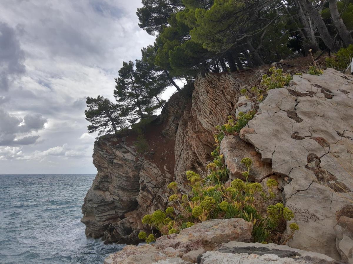 Sea-Side Old Stone Villa With A Private Garden Budva Zewnętrze zdjęcie