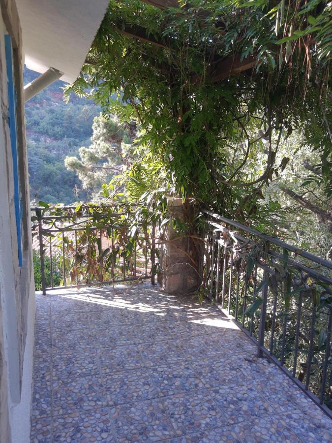 Sea-Side Old Stone Villa With A Private Garden Budva Zewnętrze zdjęcie