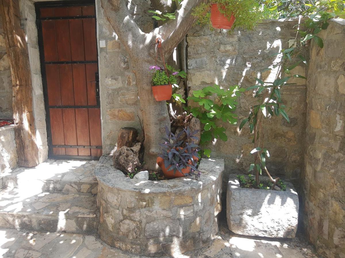 Sea-Side Old Stone Villa With A Private Garden Budva Zewnętrze zdjęcie