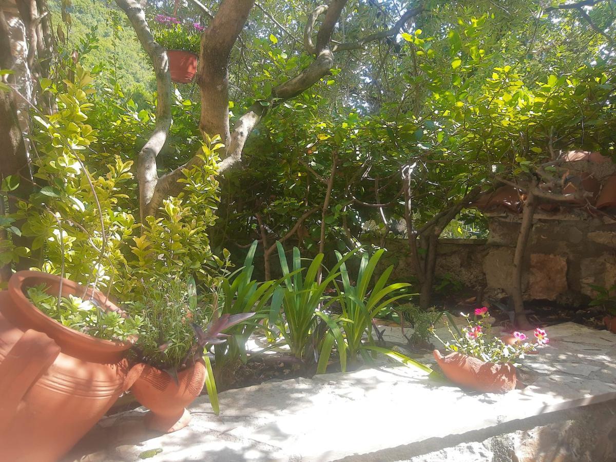 Sea-Side Old Stone Villa With A Private Garden Budva Zewnętrze zdjęcie