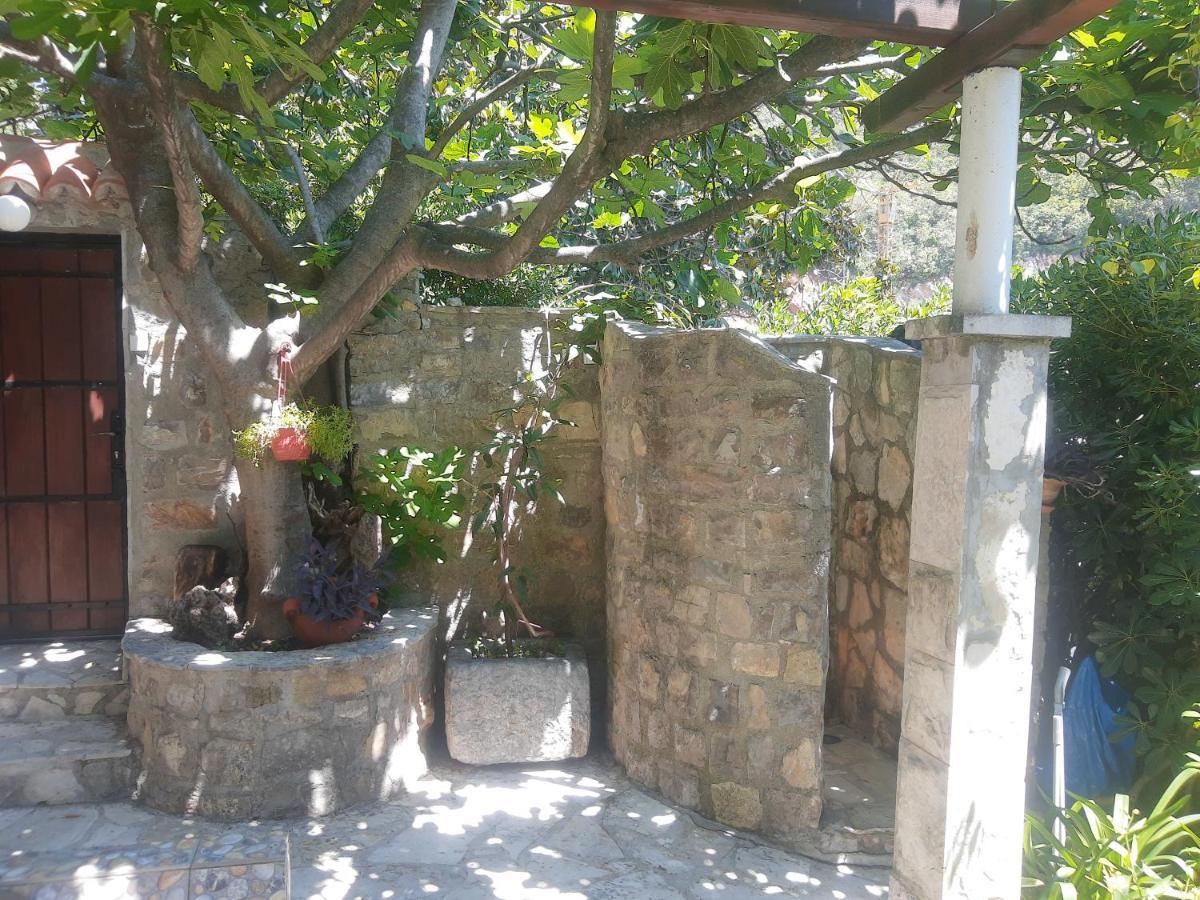 Sea-Side Old Stone Villa With A Private Garden Budva Zewnętrze zdjęcie