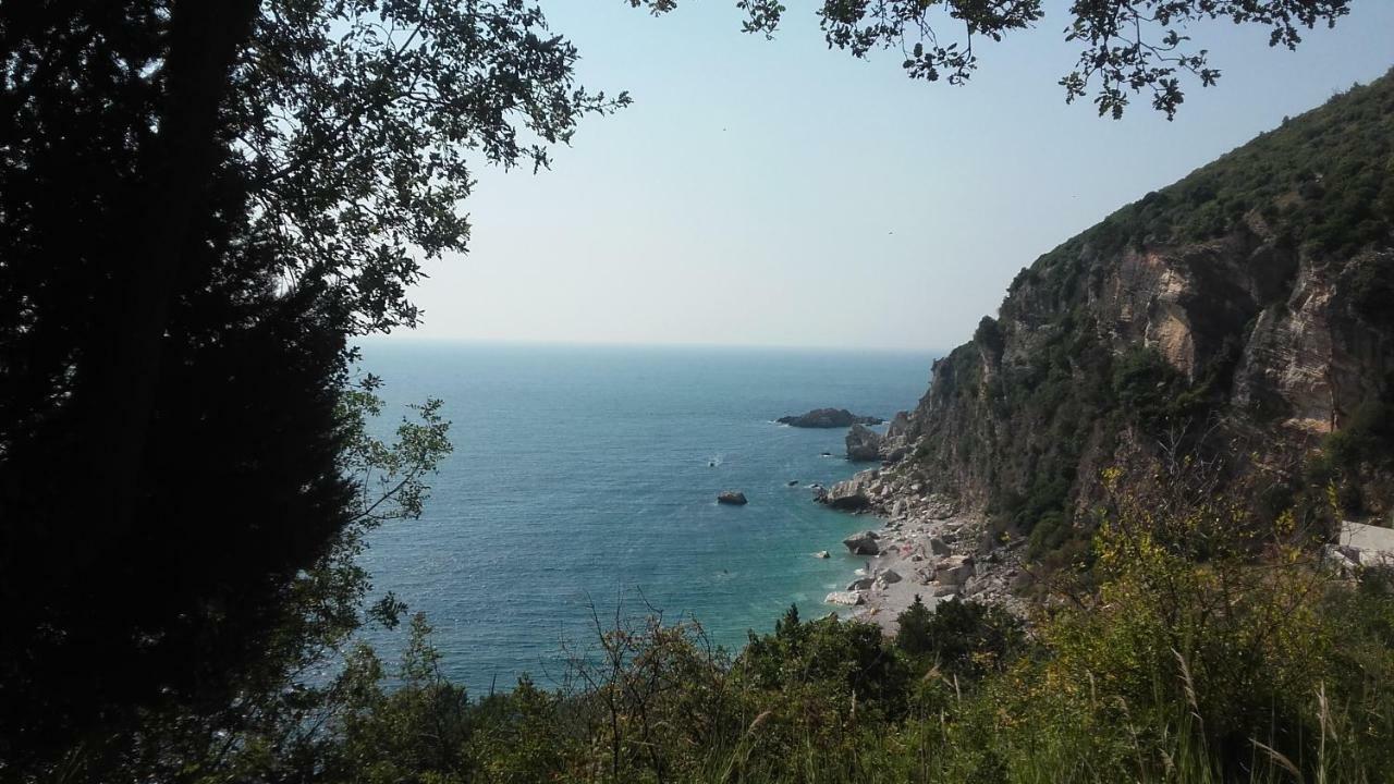 Sea-Side Old Stone Villa With A Private Garden Budva Zewnętrze zdjęcie