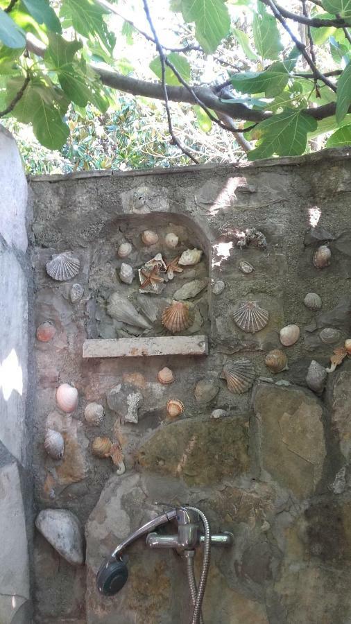 Sea-Side Old Stone Villa With A Private Garden Budva Zewnętrze zdjęcie