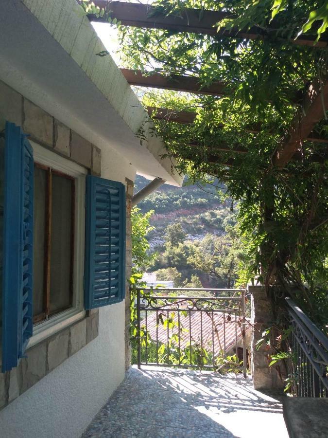 Sea-Side Old Stone Villa With A Private Garden Budva Zewnętrze zdjęcie